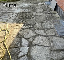 Prima